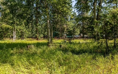 Create your dream home on this enchanted woodland 5.03 acre - photo 30