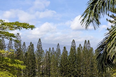 The views are spectacular and peaceful from the Vista level at - photo 31