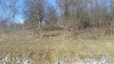 Wooded .60-Acre Lot in Gated Cherokee Lake Community SOLD - photo 8