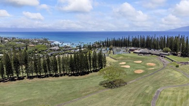 The views are spectacular and peaceful from the Vista level at - photo 38