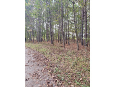 Lake Marion Lot For Sale in Vance South Carolina