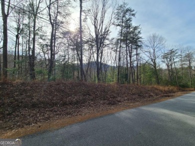 Lake Lot For Sale in Ellijay, Georgia