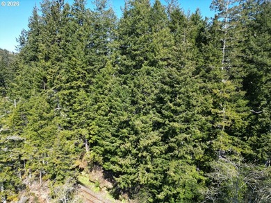Tucked away in a peaceful, tree-filled setting, this 0.75-acre - photo 5