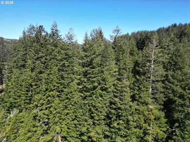 Tucked away in a peaceful, tree-filled setting, this 0.75-acre - photo 7