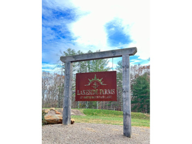 Smith Mountain Lake Acreage For Sale in Wirtz Virginia