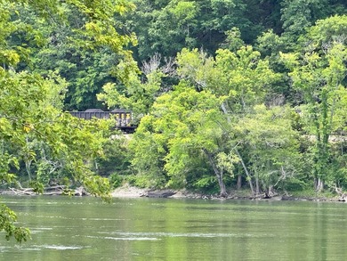 RARE NEW RIVER WATERFRONT OPPORTUNITY - 2.85 ACRES IN NEW RIVER - photo 11