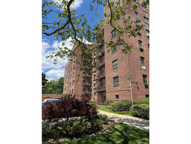 This spacious bright one bedroom one bathroom corner Co-op unit - photo 11