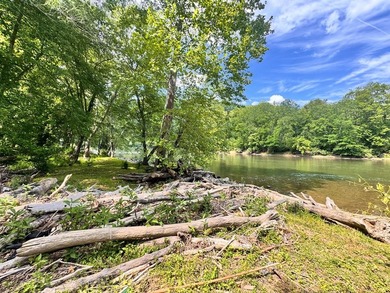 RARE NEW RIVER WATERFRONT OPPORTUNITY - 2.85 ACRES IN NEW RIVER - photo 18