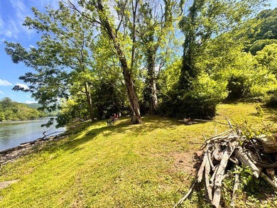 RARE NEW RIVER WATERFRONT OPPORTUNITY - 2.85 ACRES IN NEW RIVER - photo 20