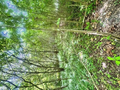 RARE NEW RIVER WATERFRONT OPPORTUNITY - 2.85 ACRES IN NEW RIVER - photo 21