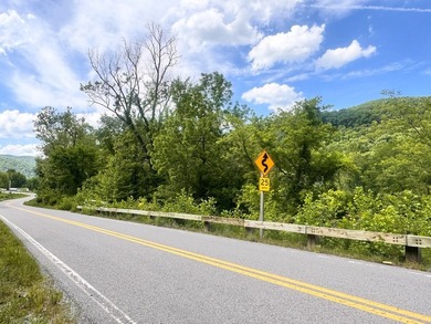 RARE NEW RIVER WATERFRONT OPPORTUNITY - 2.85 ACRES IN NEW RIVER - photo 22