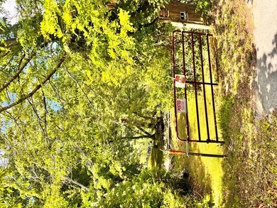 RARE NEW RIVER WATERFRONT OPPORTUNITY - 2.85 ACRES IN NEW RIVER - photo 23