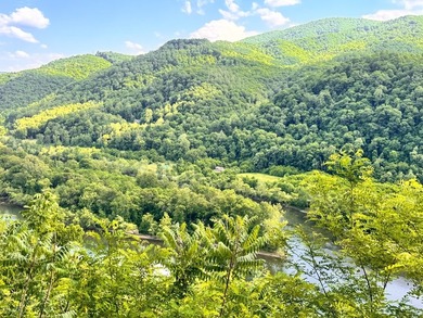 RARE NEW RIVER WATERFRONT OPPORTUNITY - 2.85 ACRES IN NEW RIVER - photo 26