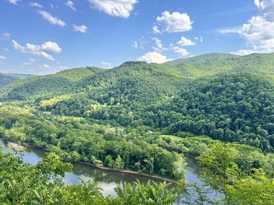 RARE NEW RIVER WATERFRONT OPPORTUNITY - 2.85 ACRES IN NEW RIVER - photo 27