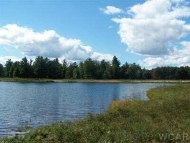 Lake Lot For Sale in Canadian Lakes, Michigan