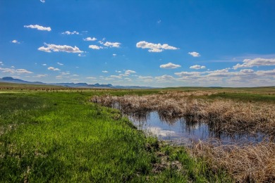 (private lake, pond, creek) Acreage For Sale in Cascade Montana
