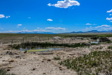 (private lake, pond, creek) Acreage For Sale in Cascade Montana