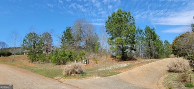 Lake Hartwell Lot For Sale in Toccoa Georgia