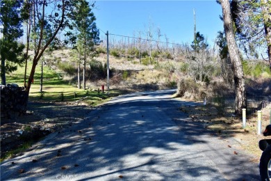 Lake Lot For Sale in Berry Creek, California