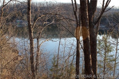 RARE DOUBLE LAKEFRONT OPPORTUNITY ON POCAHONTAS LAKE! Own - photo 11