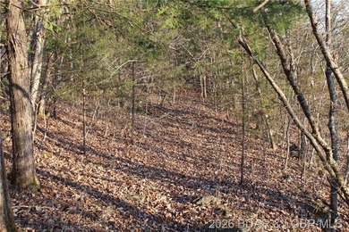 RARE DOUBLE LAKEFRONT OPPORTUNITY ON POCAHONTAS LAKE! Own - photo 12