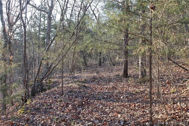 RARE DOUBLE LAKEFRONT OPPORTUNITY ON POCAHONTAS LAKE! Own - photo 13