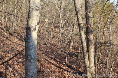 RARE DOUBLE LAKEFRONT OPPORTUNITY ON POCAHONTAS LAKE! Own - photo 14