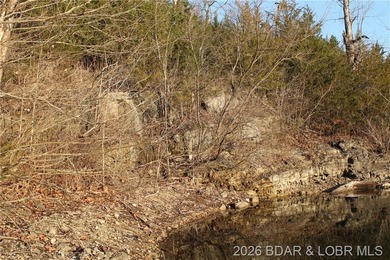 RARE DOUBLE LAKEFRONT OPPORTUNITY ON POCAHONTAS LAKE! Own - photo 16