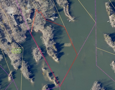 Lake Acreage For Sale in Oakwood, Illinois