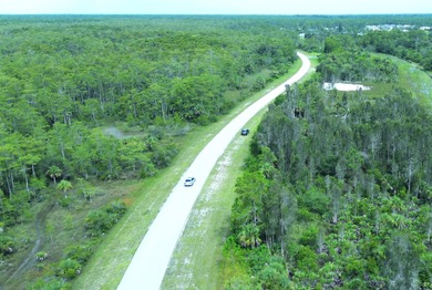 Lehigh Acres Area Lot For Sale in Lehigh Acres Florida