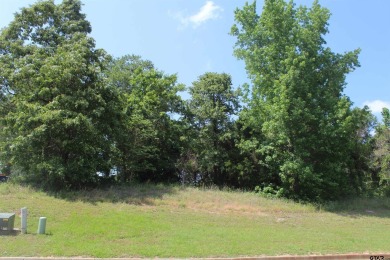 Soaring, wide, flat Golf Course lot. Perfect, near half acre to