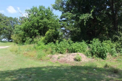 Soaring, wide, flat Golf Course lot. Perfect, near half acre to