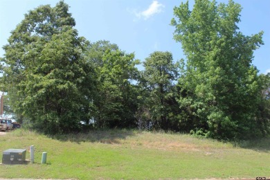 Soaring, wide, flat Golf Course lot. Perfect, near half acre to