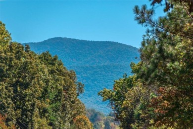 Lake Lot For Sale in Blairsville, Georgia