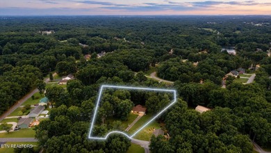 Completely Remodeled Home on a Double Lot - Move-In Ready! Don't - photo 5