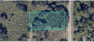 Lehigh Acres Area Lot For Sale in Lehigh Acres Florida
