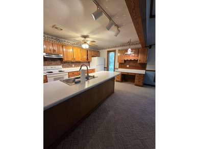 Welcome to your dream Ozark retreat! This incredible 8,414 sq ft - photo 5