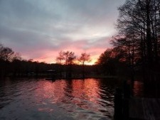 Custom Unique Waterfront: 3-Sided Point w Room Views-Exceptional! - photo 9