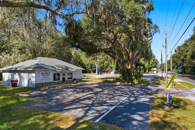 Lake Panasoffkee Office For Sale in Lake Panasoffkee Florida