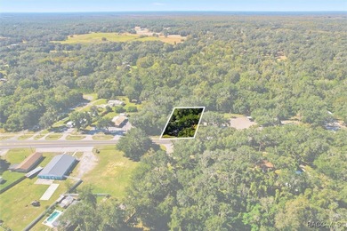 Versatile Office Space in the Heart of Lake Panasoffkee. This 1 - photo 5