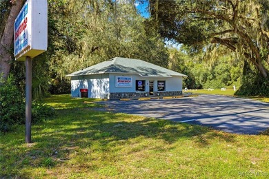 Versatile Office Space in the Heart of Lake Panasoffkee. This 1 - photo 10