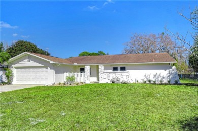 Lake Home For Sale in Land O Lakes, Florida