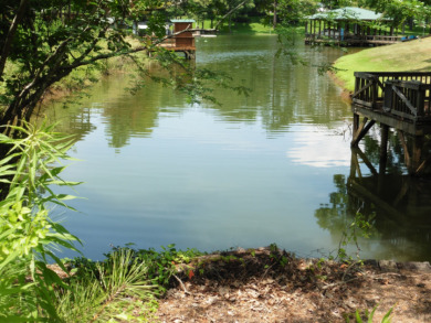 Toledo Bend Lake Home For Sale in Hemphill Texas