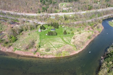 Delaware River - Delaware County Home For Sale in Hancock New York