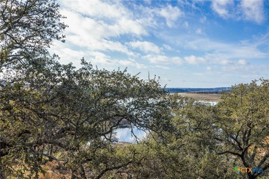 Stunning Lakefront Equestrian Retreat on Lake Travis Welcome to - photo 11
