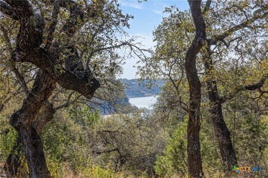 Stunning Lakefront Equestrian Retreat on Lake Travis Welcome to - photo 17