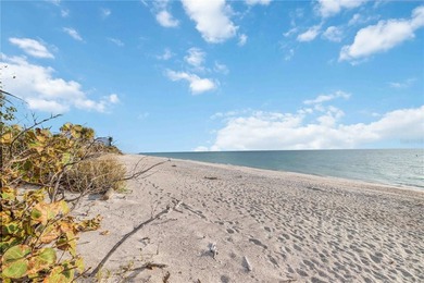 Welcome to 7885 Manasota Key Road, a rare waterfront estate - photo 47