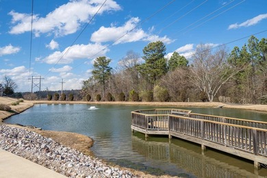 Welcome home to Forest Lakes subdivision, a 55+ community in Hot - photo 36