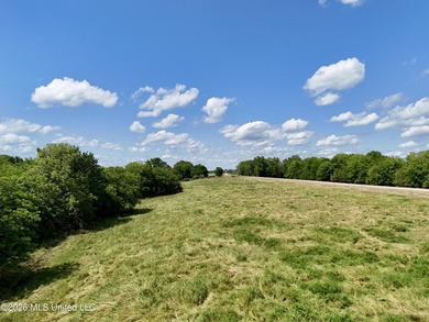 168+/- acres of pastureland just outside Vicksburg offering a - photo 1