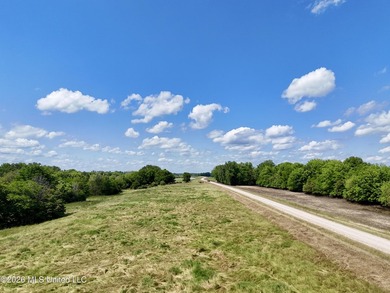 168+/- acres of pastureland just outside Vicksburg offering a - photo 3